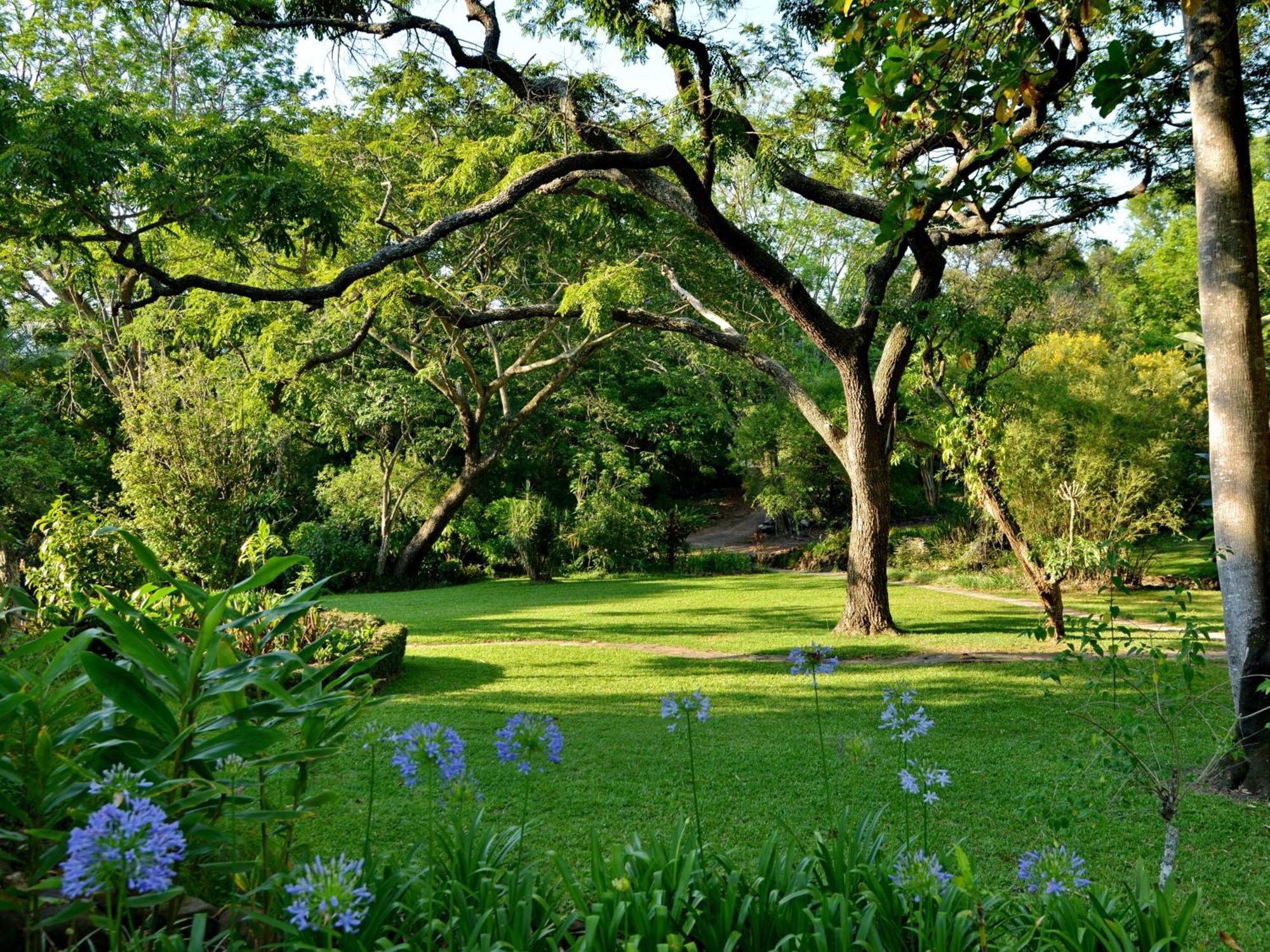 Anew Resort Hazyview Kruger Park Exterior photo