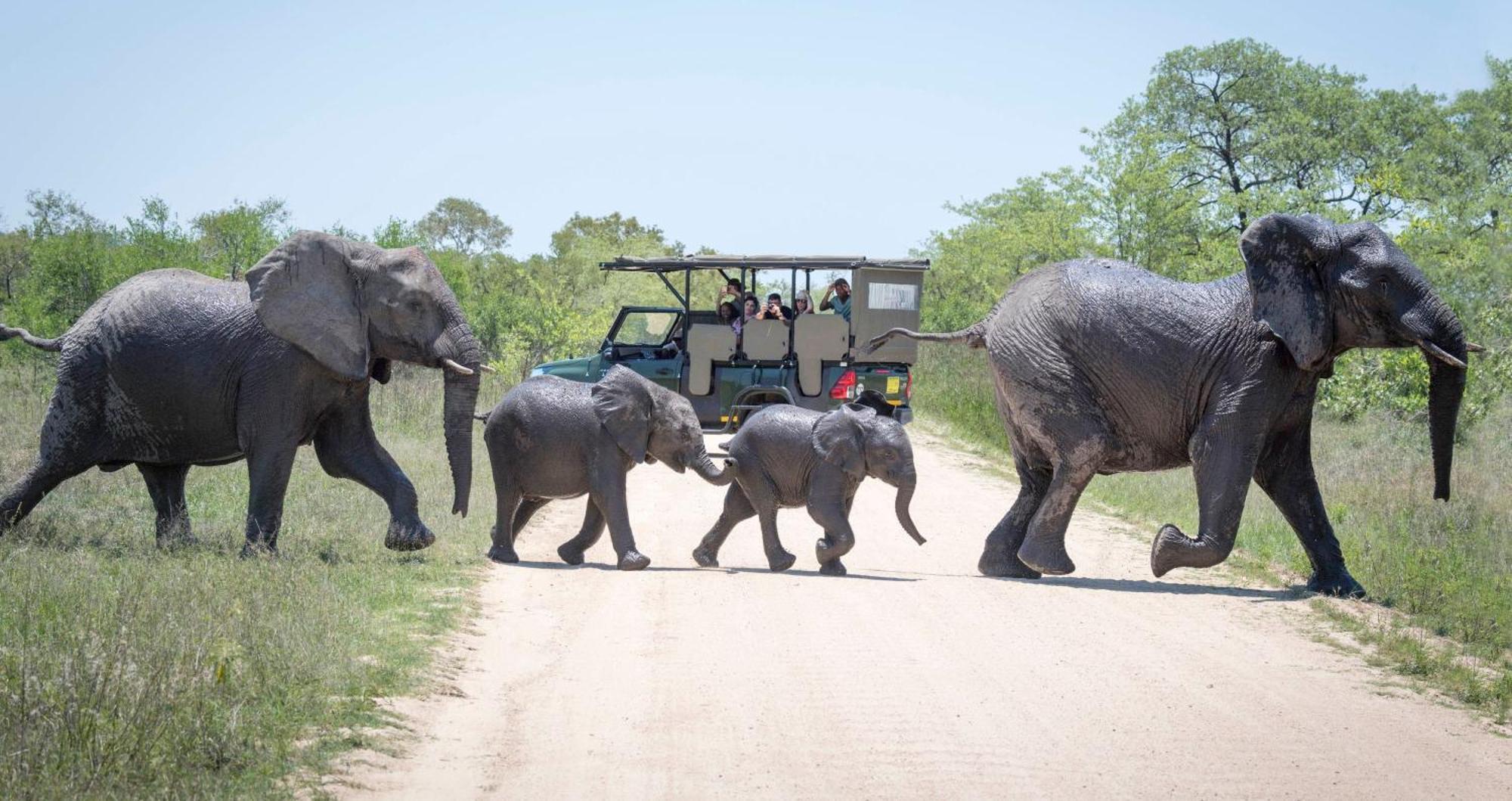 Anew Resort Hazyview Kruger Park Exterior photo